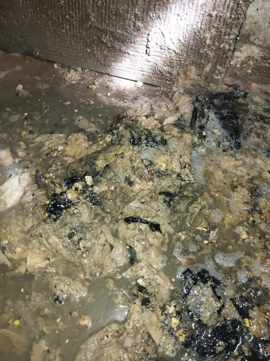 The four things that block Belgian drains